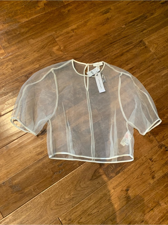 Topshop Tops - Topshop Sheer White Organza Crop Top with Piping